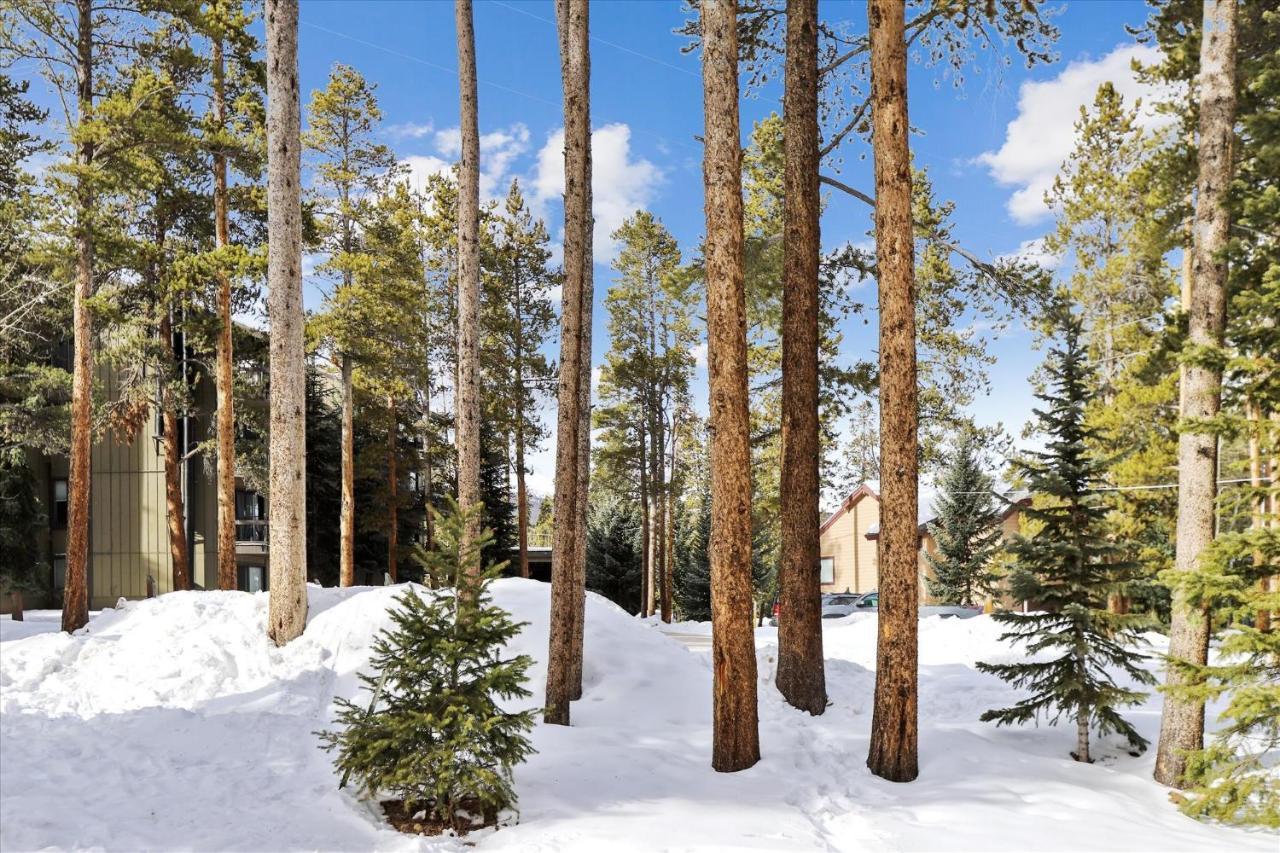 Park Forest Estates بريكنريدج المظهر الخارجي الصورة